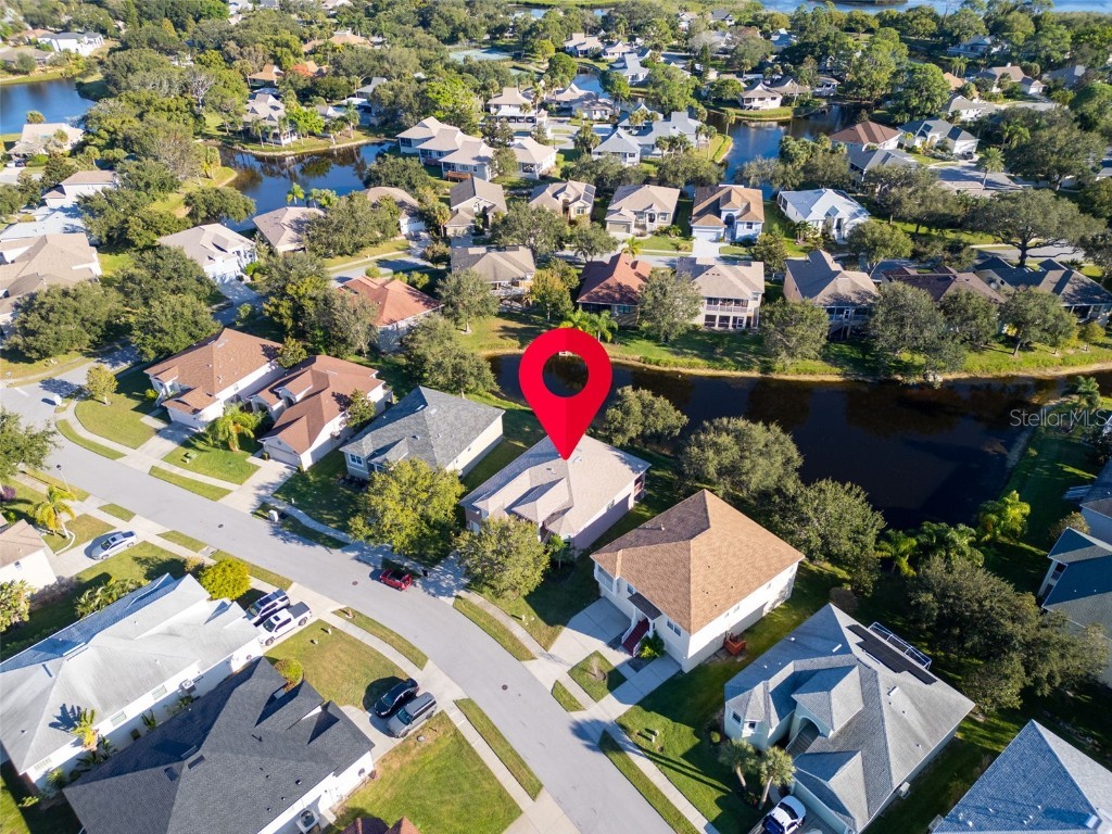 1122 S Pointe Alexis Drive Tarpon Springs FL 34689 TB8438407 image51