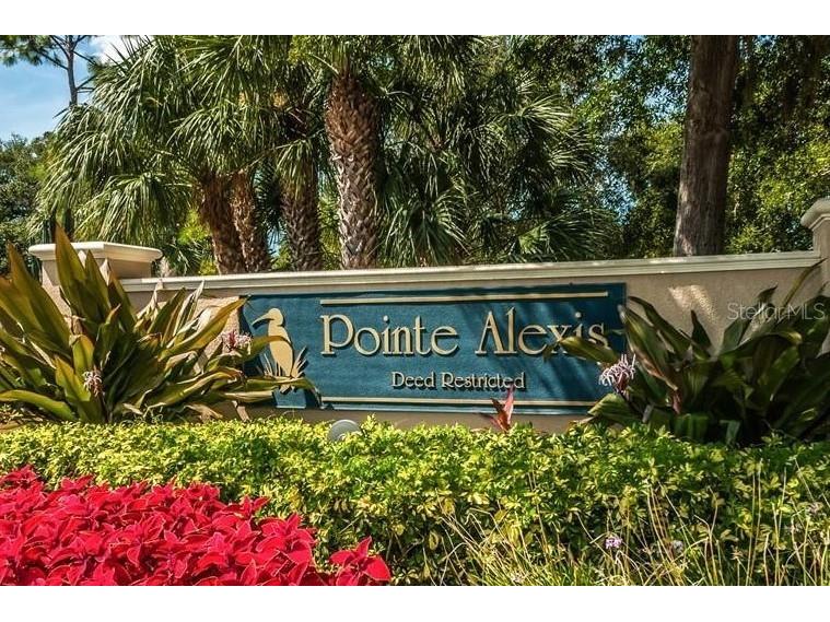1122 S Pointe Alexis Drive Tarpon Springs FL 34689 TB8438407 image55