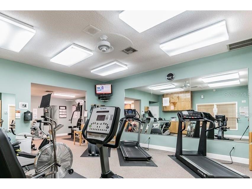 1122 S Pointe Alexis Drive Tarpon Springs FL 34689 TB8438407 image59