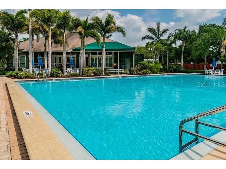 1122 S Pointe Alexis Drive Tarpon Springs FL 34689 TB8438407 image62