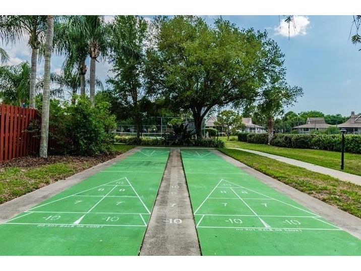 1122 S Pointe Alexis Drive Tarpon Springs FL 34689 TB8438407 image66