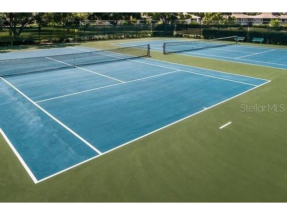 1122 S Pointe Alexis Drive Tarpon Springs FL 34689 TB8438407 image67