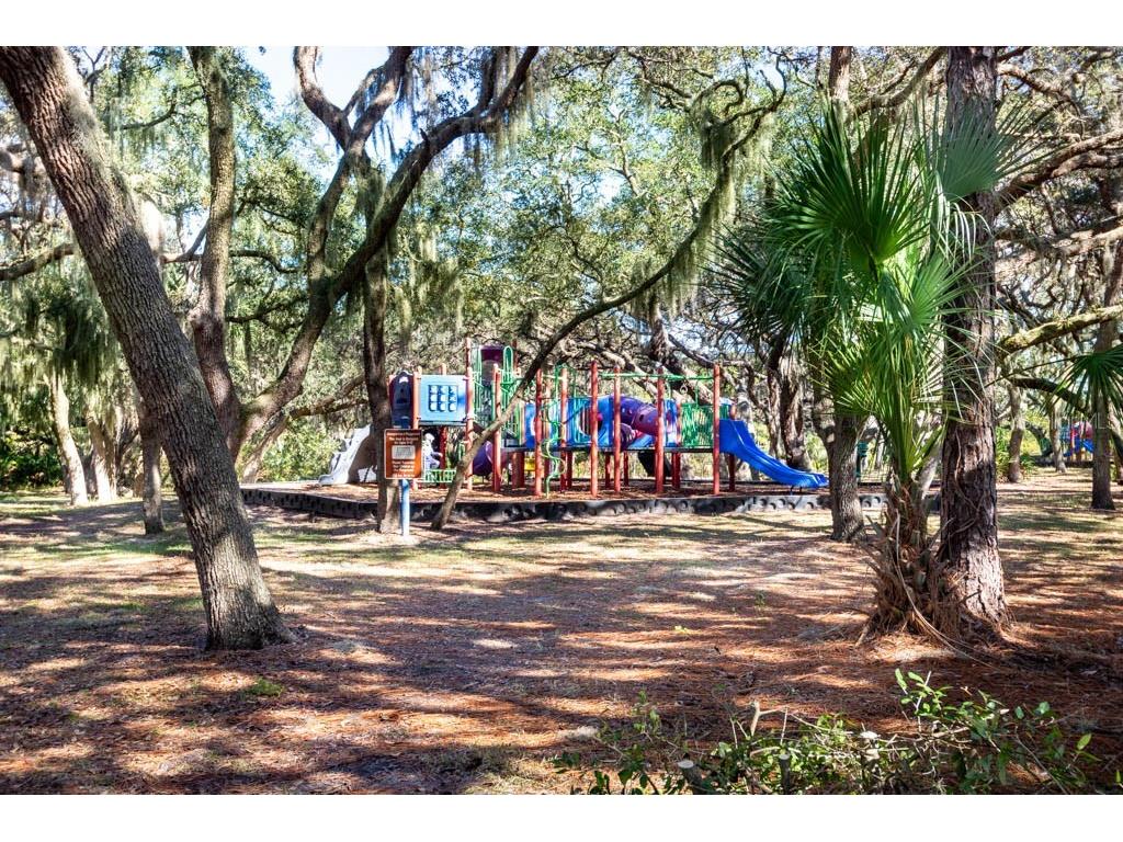 1122 S Pointe Alexis Drive Tarpon Springs FL 34689 TB8438407 image72