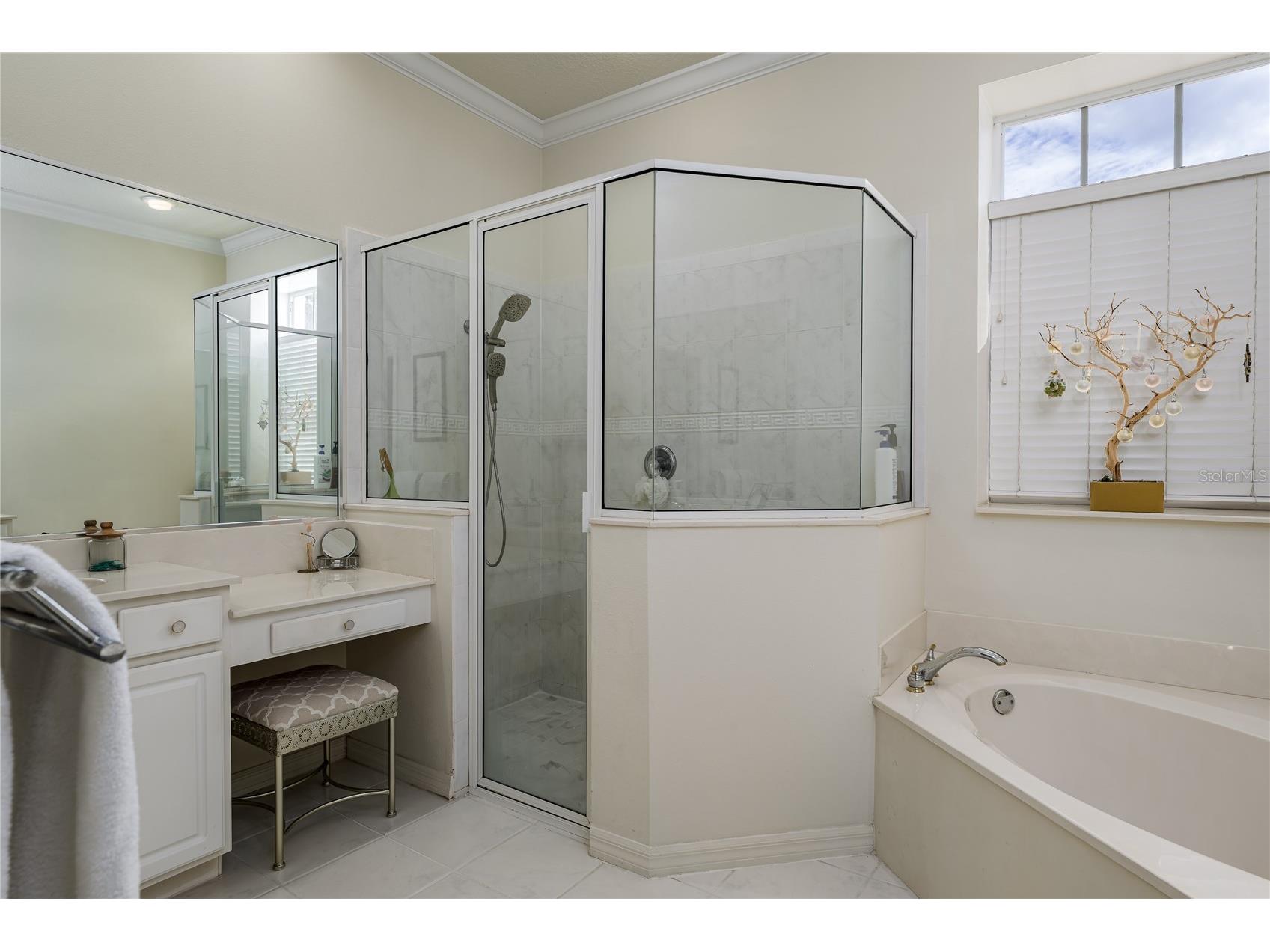 11220 28th Street Circle E Parrish FL 34219 A4690470 image21