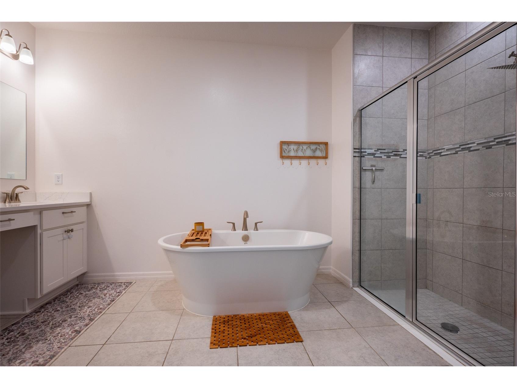 11220 Bram Bay Court San Antonio FL 33576 TB8490105 image34