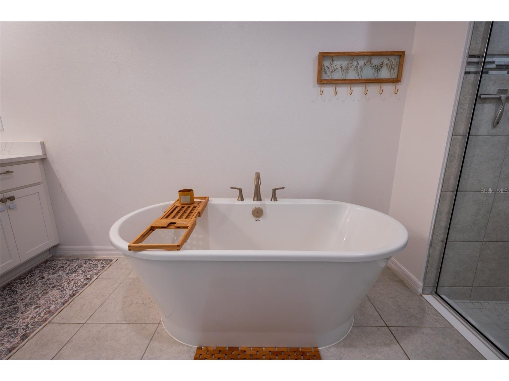 11220 Bram Bay Court San Antonio FL 33576 TB8490105 image36