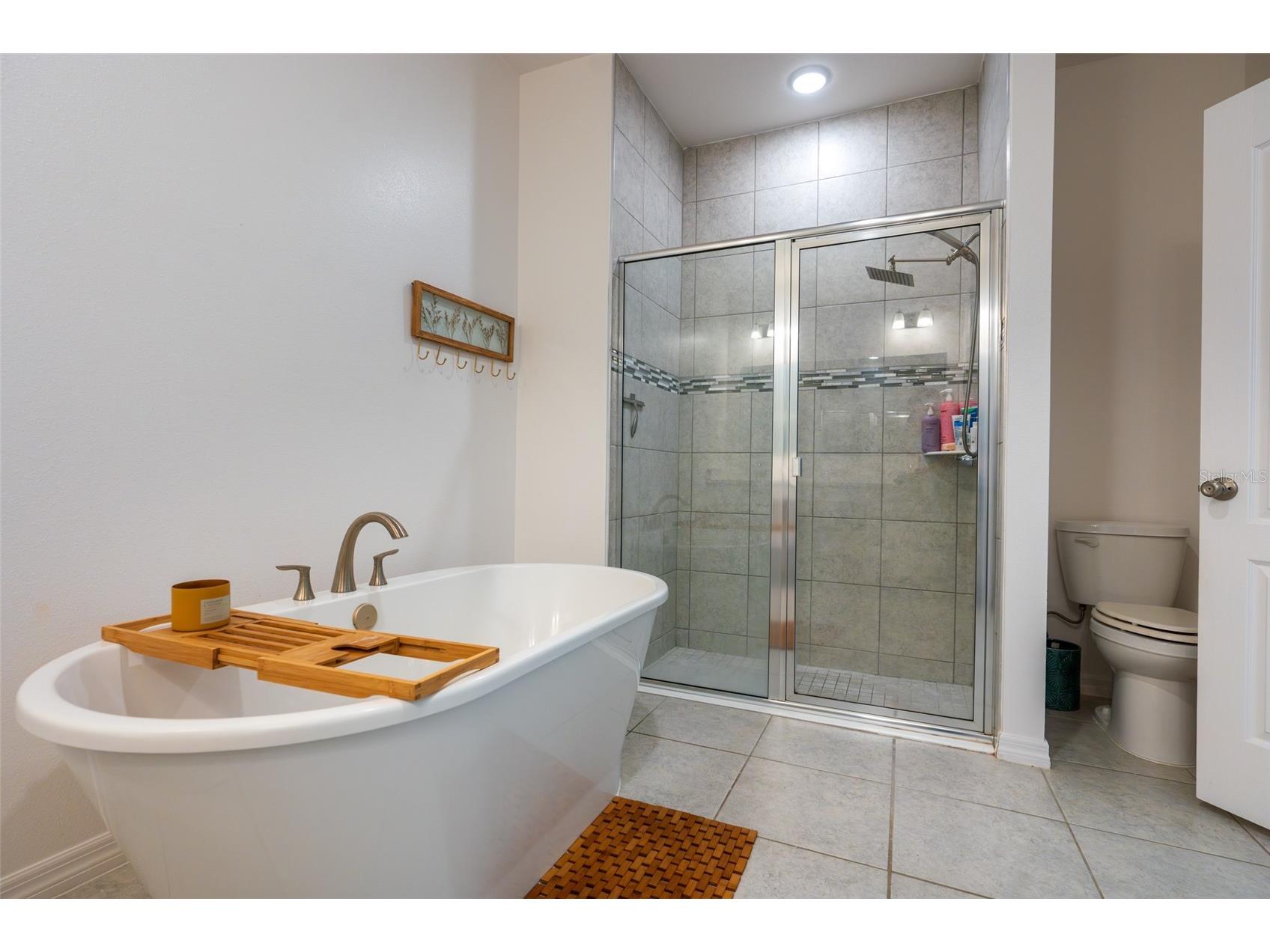 11220 Bram Bay Court San Antonio FL 33576 TB8490105 image37