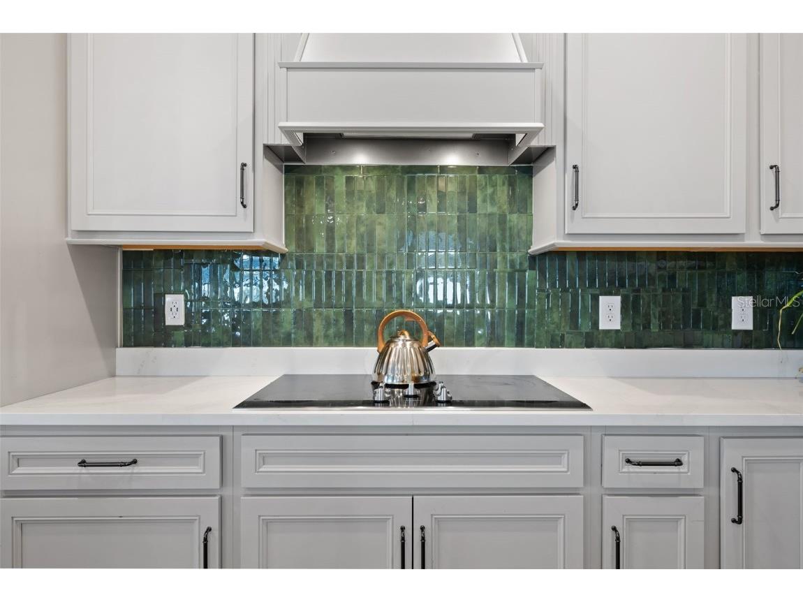 11221 Gallatin Trail Parrish FL 34219 A4660417 image23