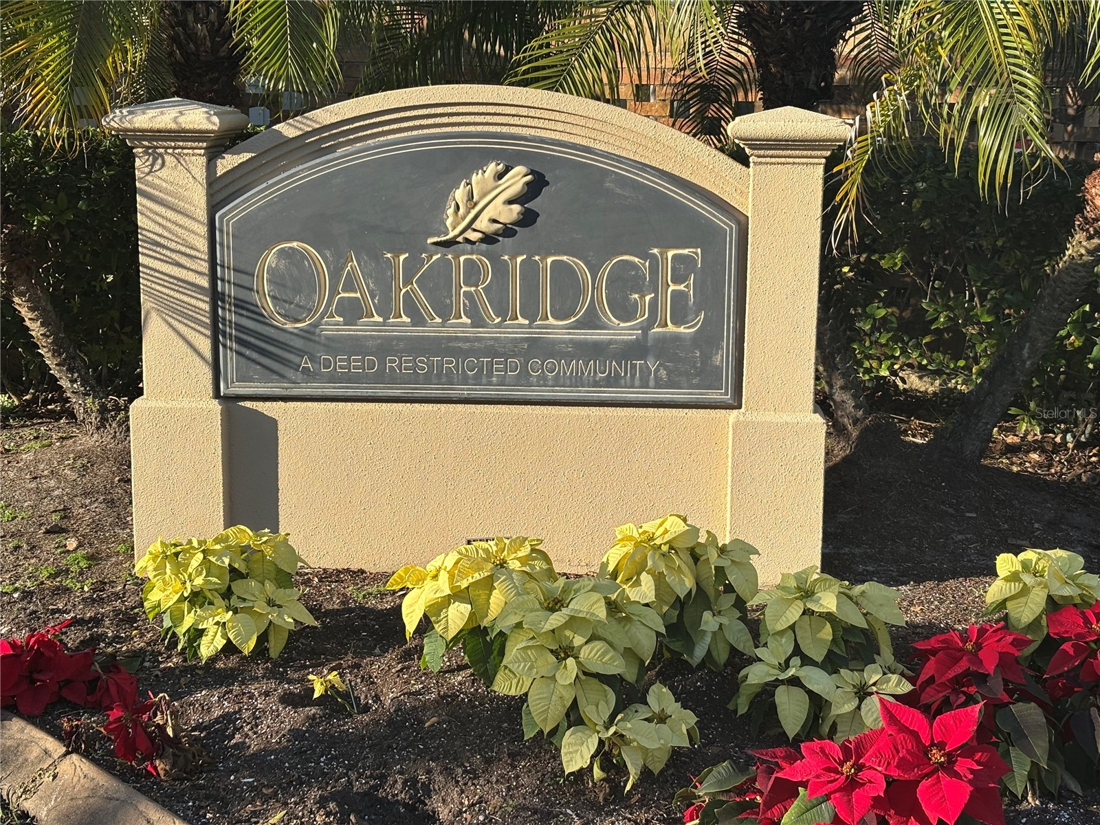 11222 Clayridge Drive Tampa FL 33635 TB8457799 image22