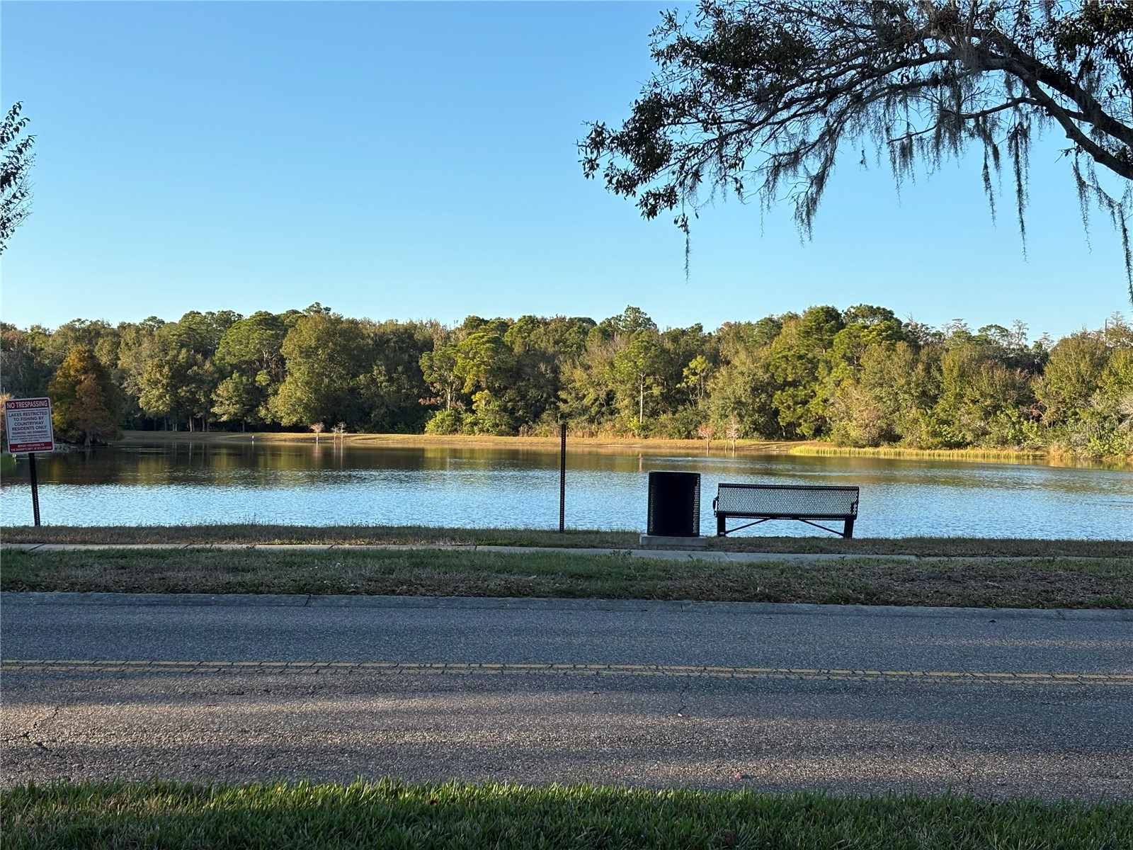 11222 Clayridge Drive Tampa FL 33635 TB8457799 image27