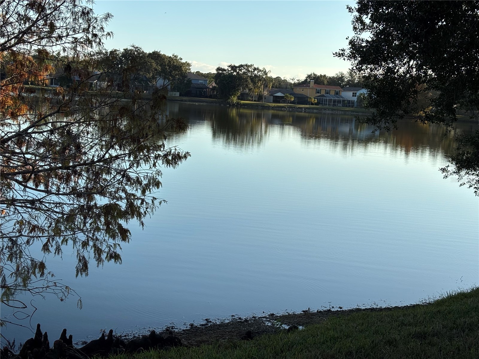 11222 Clayridge Drive Tampa FL 33635 TB8457799 image28