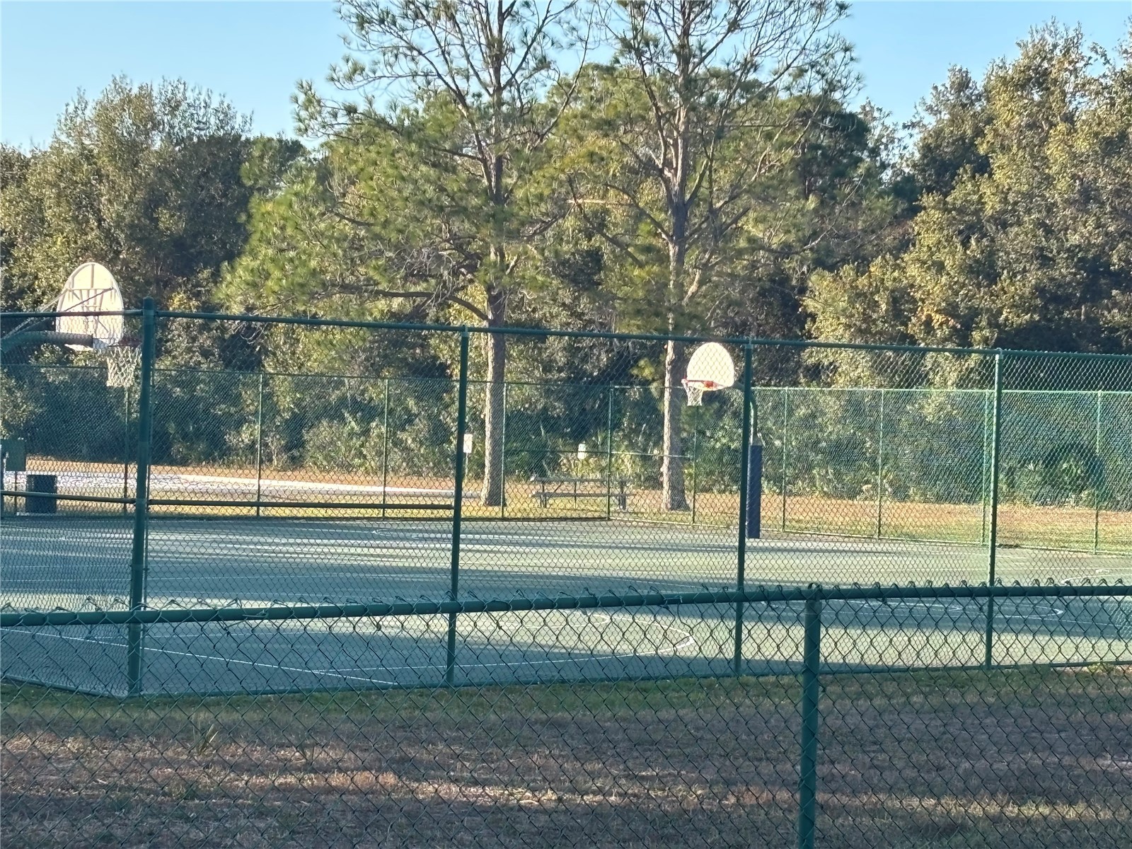 11222 Clayridge Drive Tampa FL 33635 TB8457799 image32