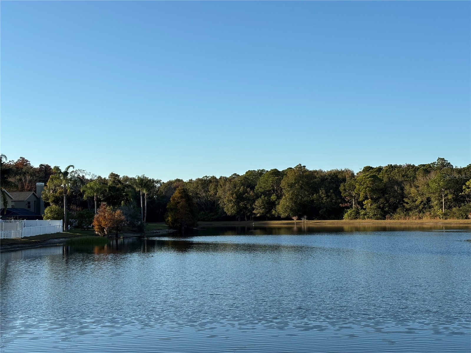 11222 Clayridge Drive Tampa FL 33635 TB8457799 image33