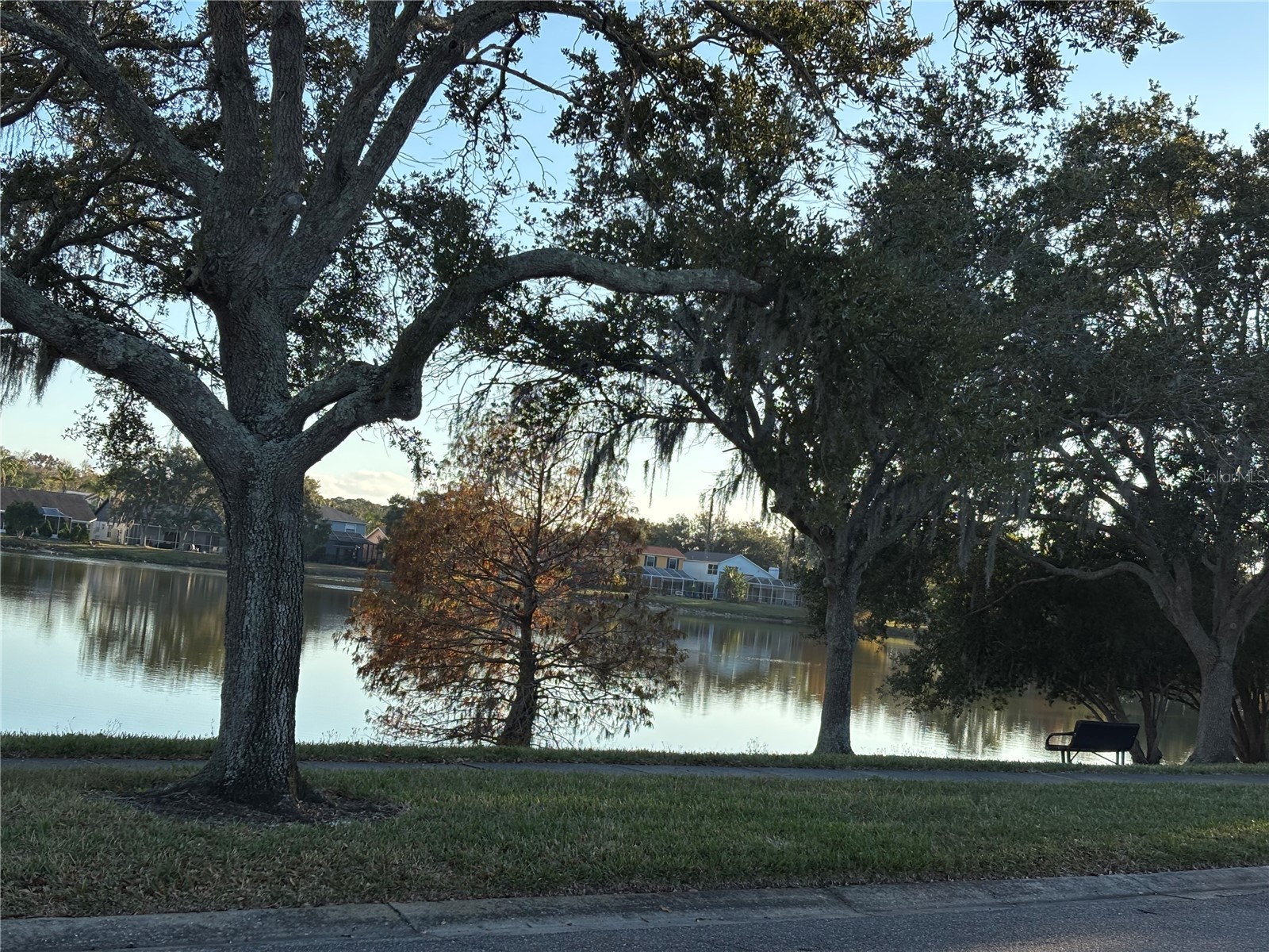 11222 Clayridge Drive Tampa FL 33635 TB8457799 image35