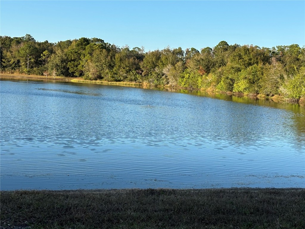 11222 Clayridge Drive Tampa FL 33635 TB8457799 image51