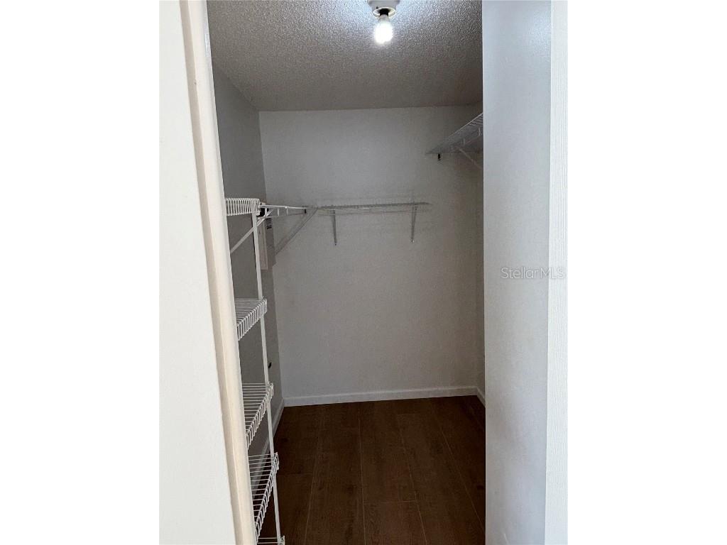 11222 Clayridge Drive Tampa FL 33635 TB8457799 image53