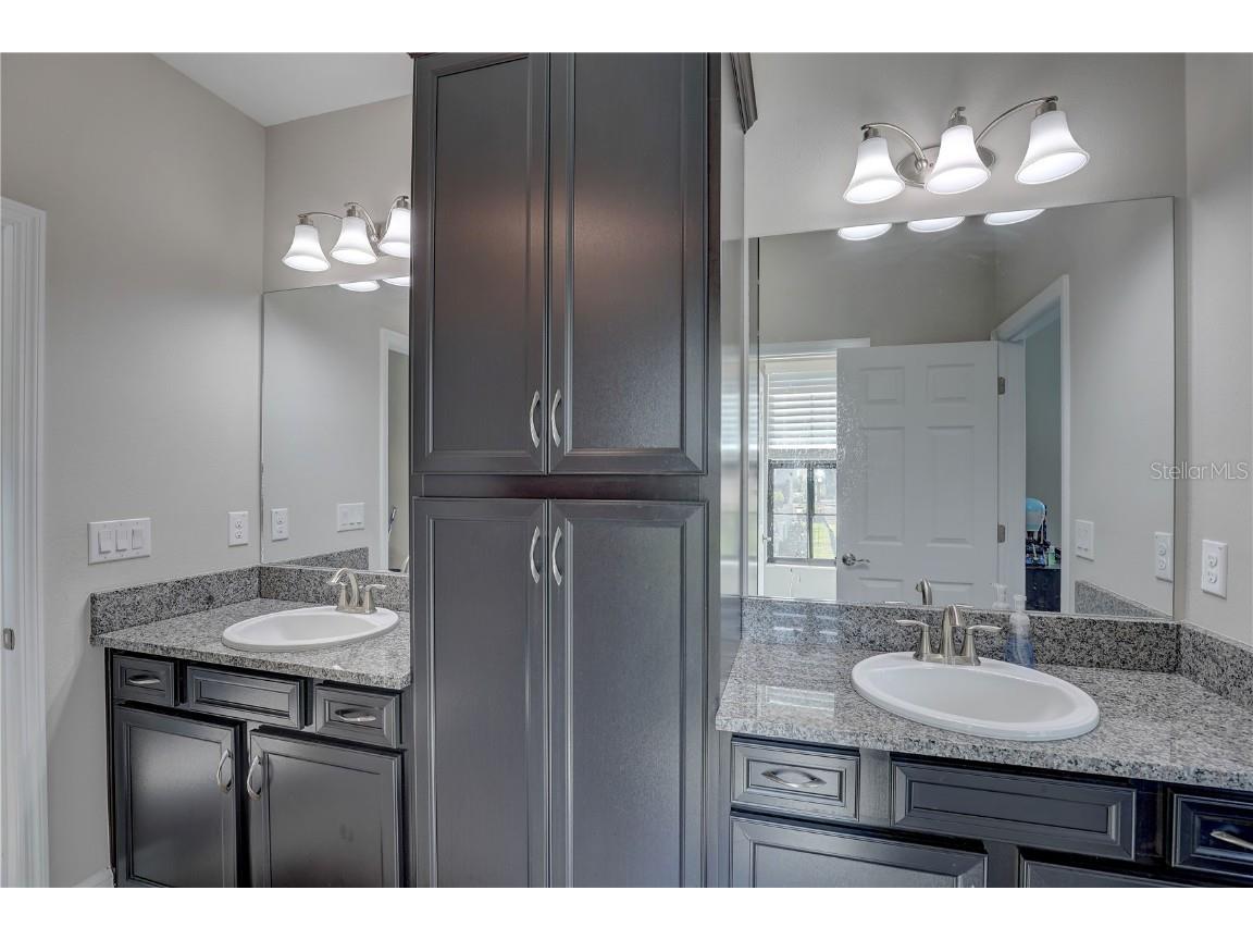 11222 Hawks Fern Drive Riverview FL 33569 TB8382808 image19