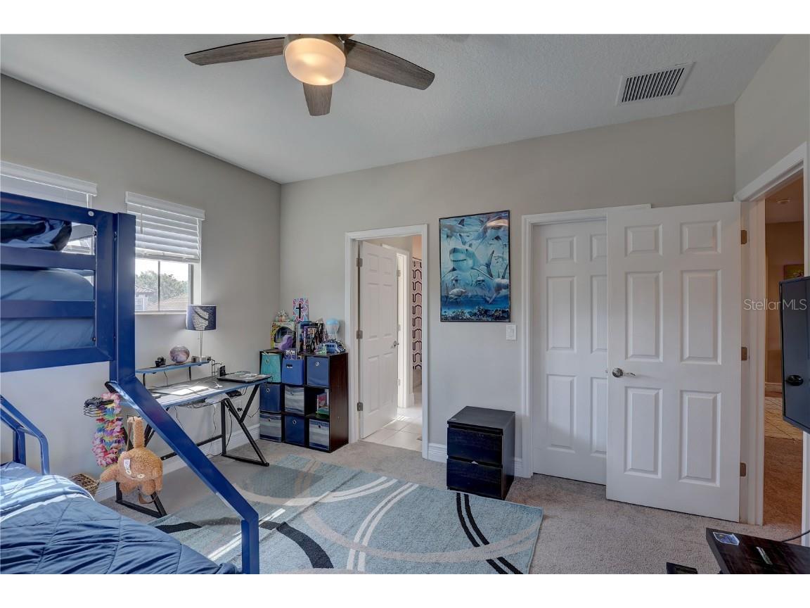 11222 Hawks Fern Drive Riverview FL 33569 TB8382808 image22