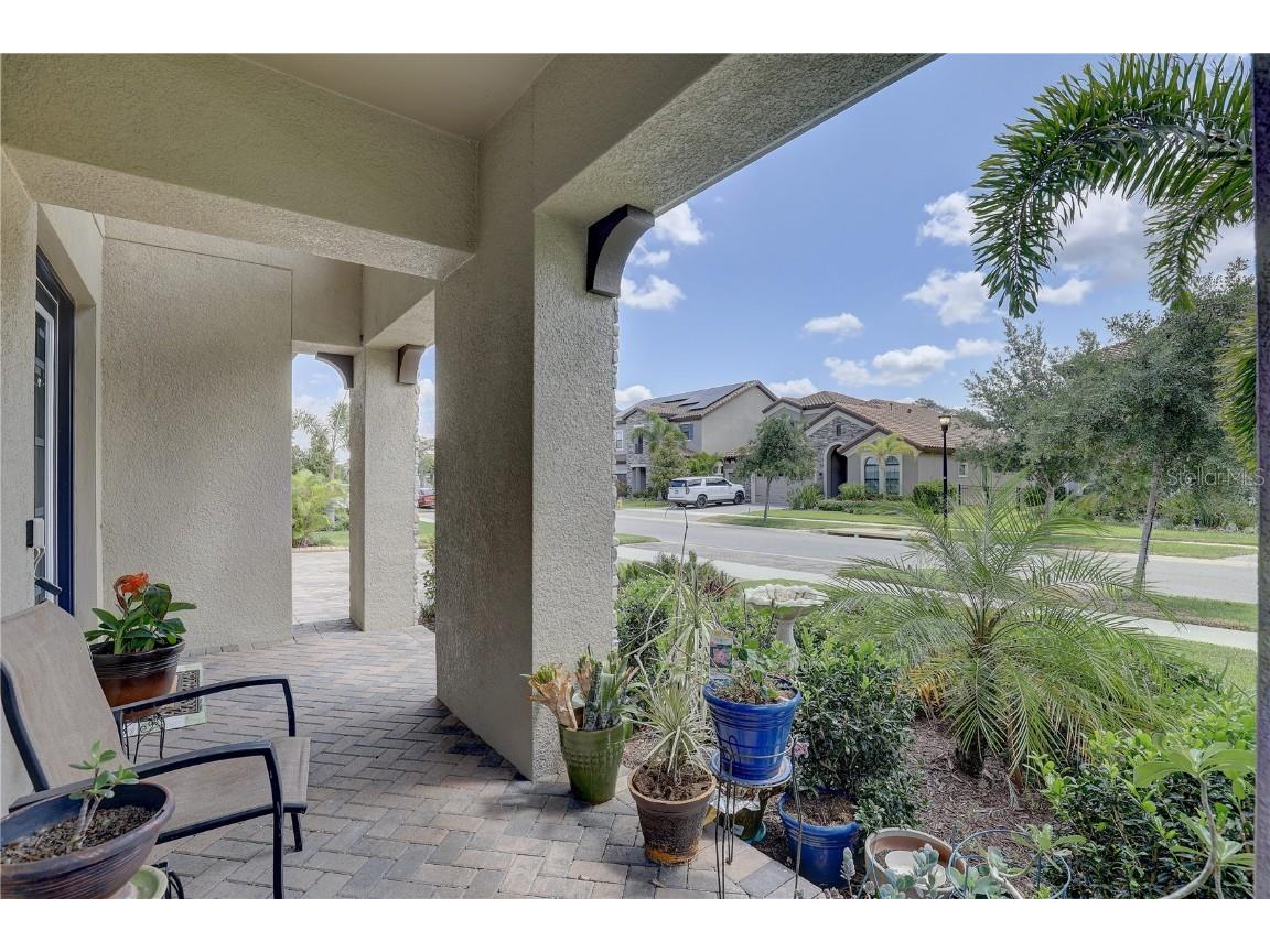 11222 Hawks Fern Drive Riverview FL 33569 TB8382808 image3