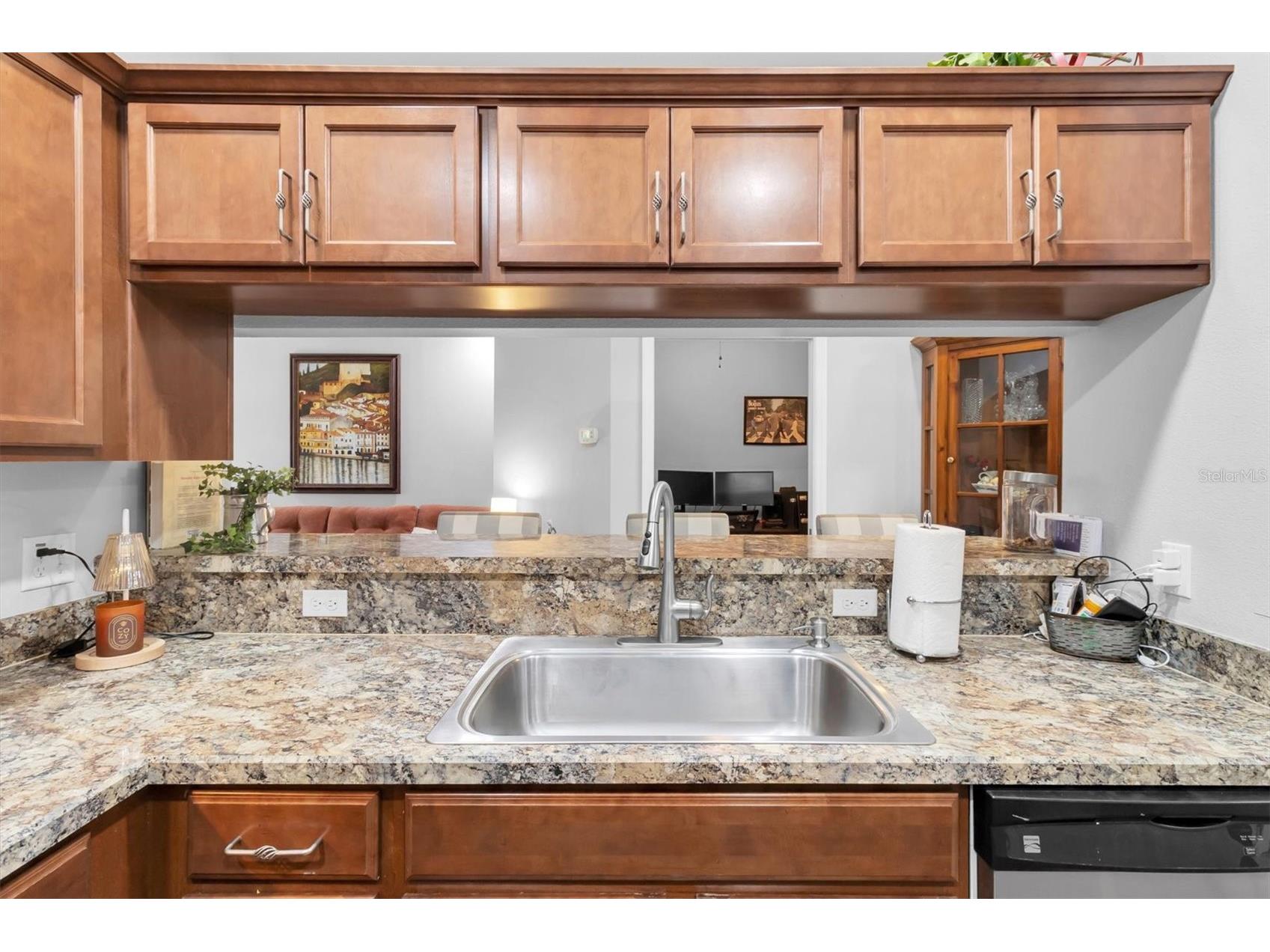 11222 Port Douglas Drive New Port Richey FL 34654 TB8475855 image11