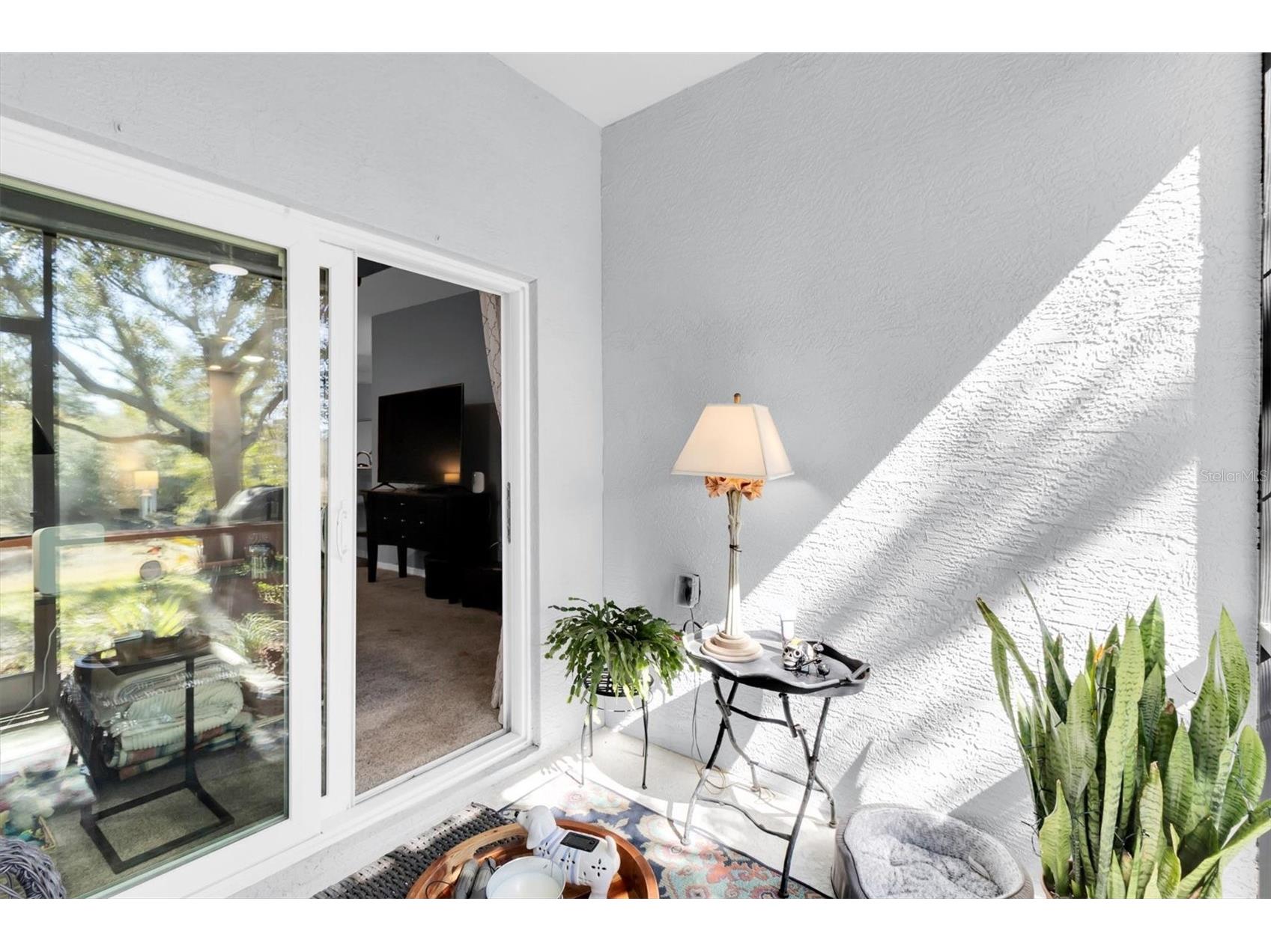 11222 Port Douglas Drive New Port Richey FL 34654 TB8475855 image26