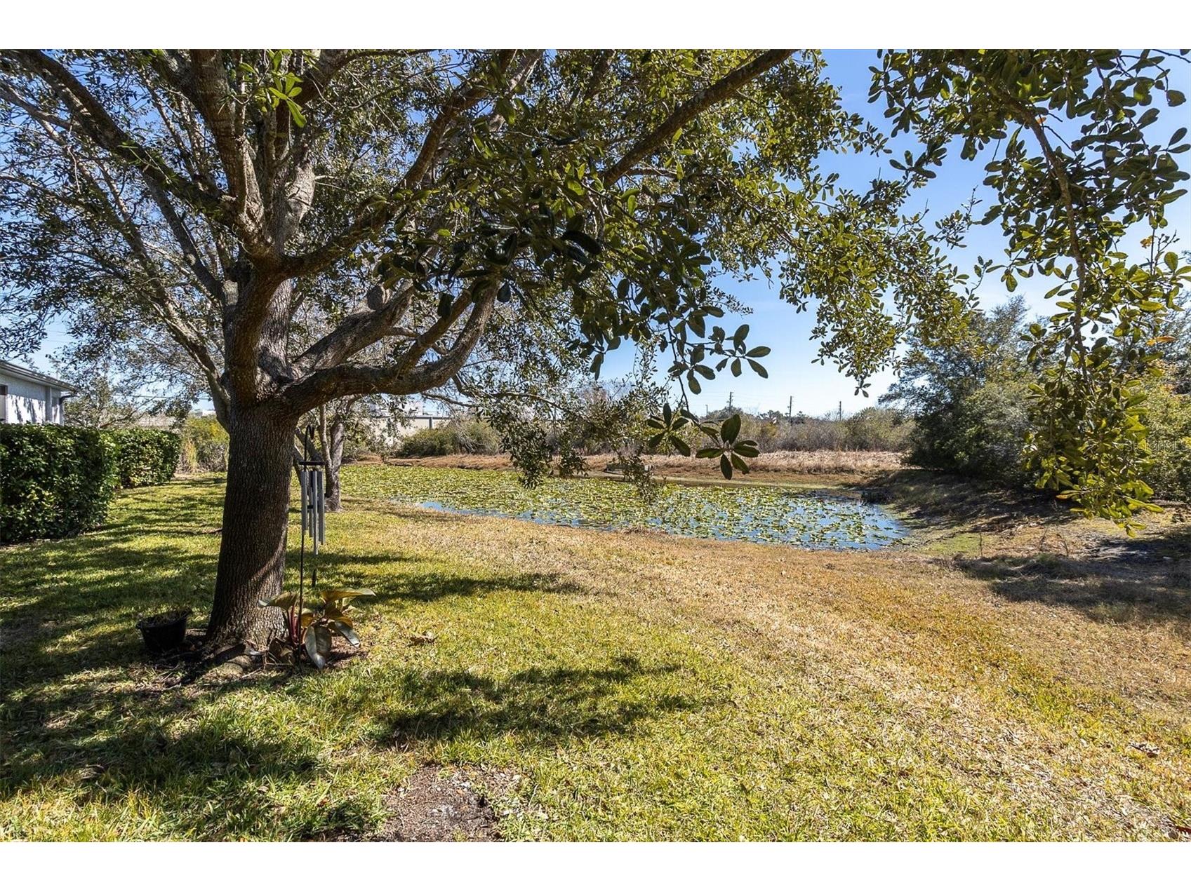 11222 Port Douglas Drive New Port Richey FL 34654 TB8475855 image31
