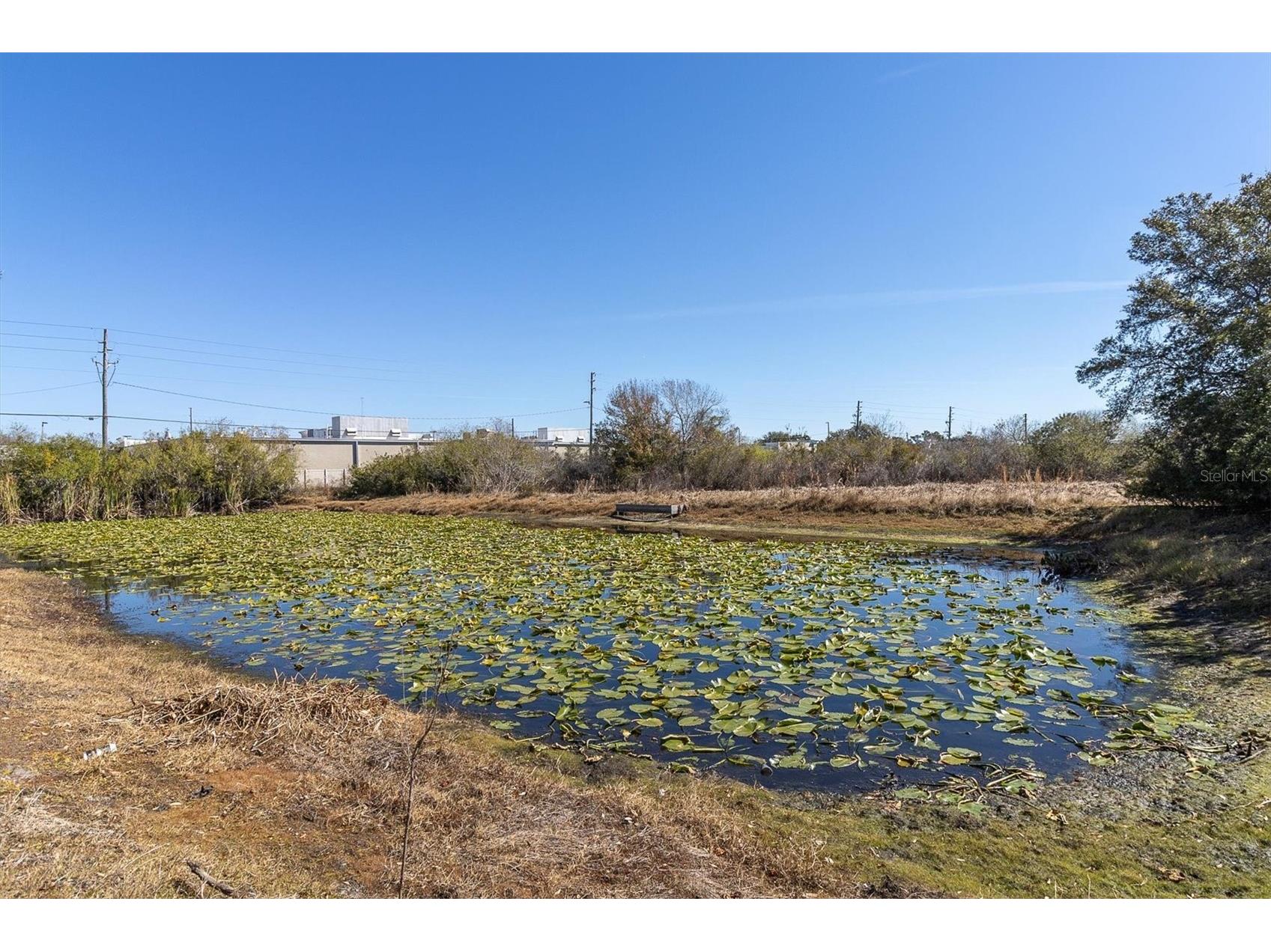 11222 Port Douglas Drive New Port Richey FL 34654 TB8475855 image32