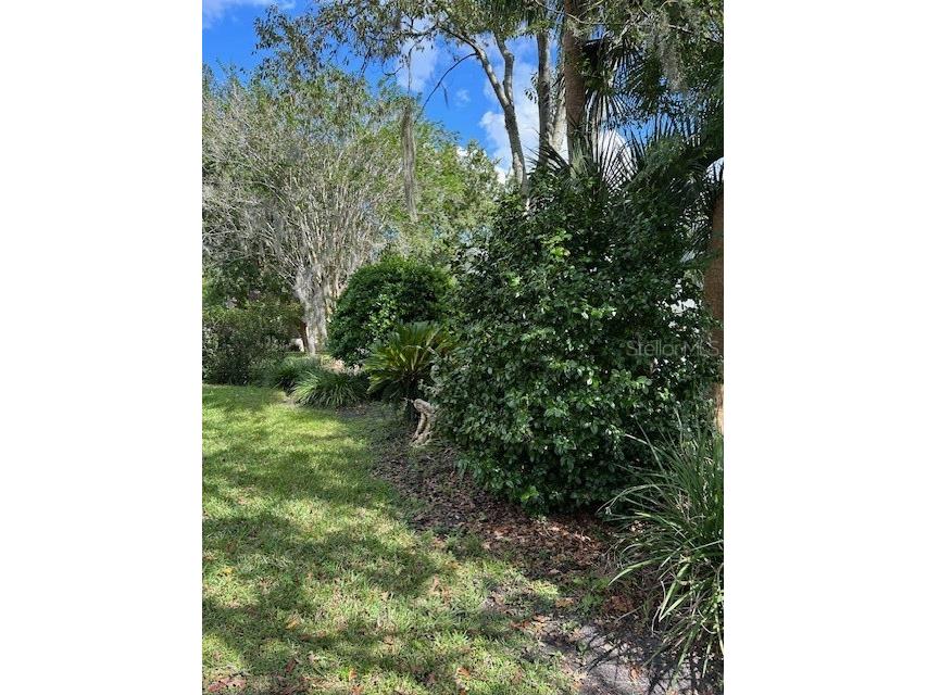 11222 SW 73rd Circle Ocala FL 34476 OM711957 image52