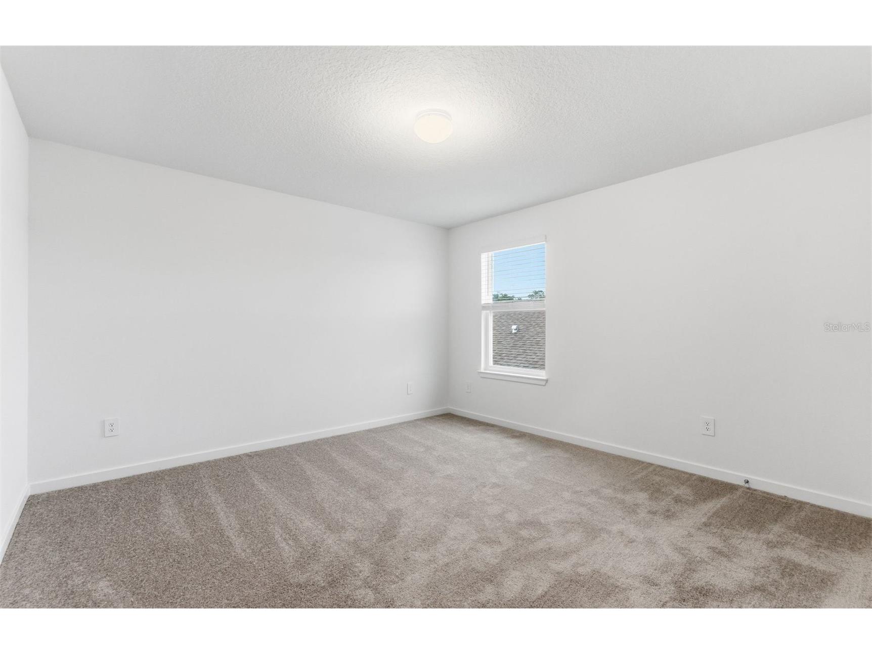 11222 Sycamore Glen Loop Thonotosassa FL 33592 TB8477826 image13