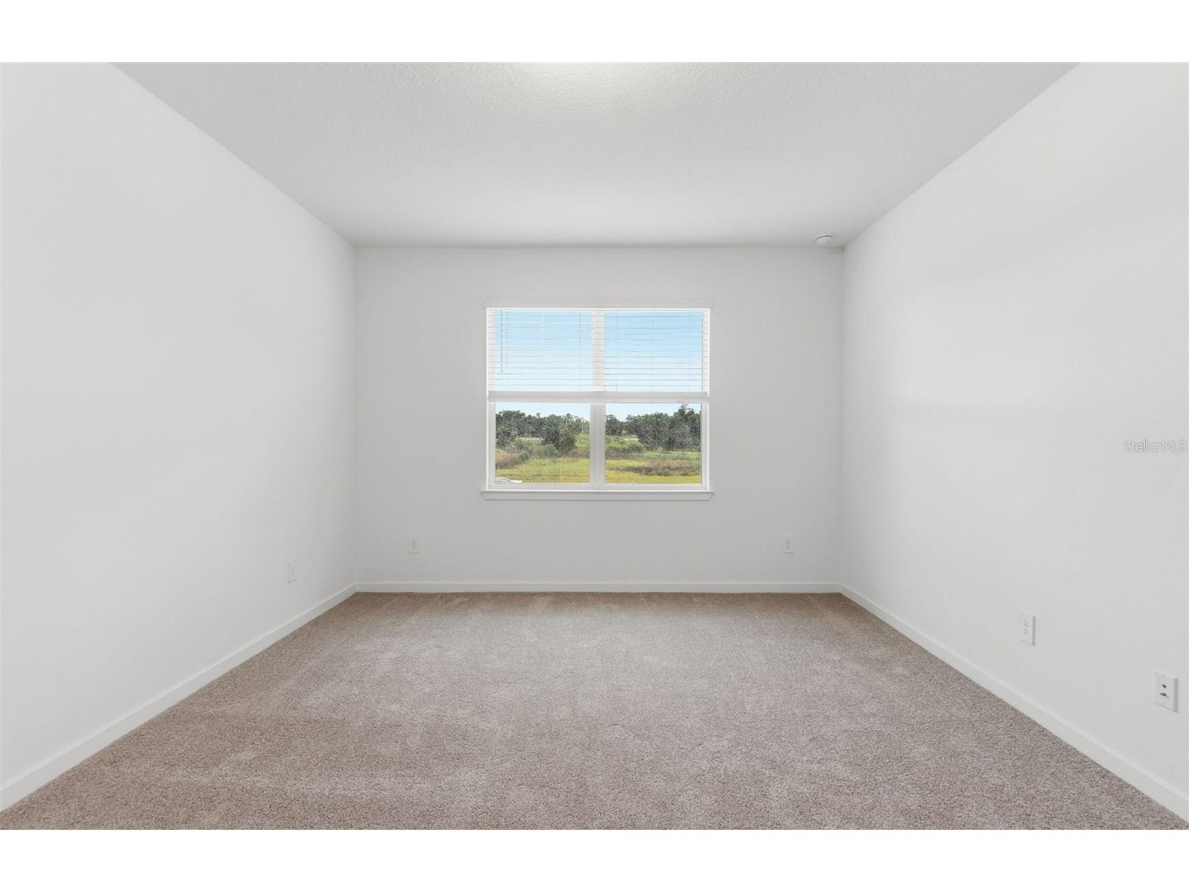 11222 Sycamore Glen Loop Thonotosassa FL 33592 TB8477826 image6