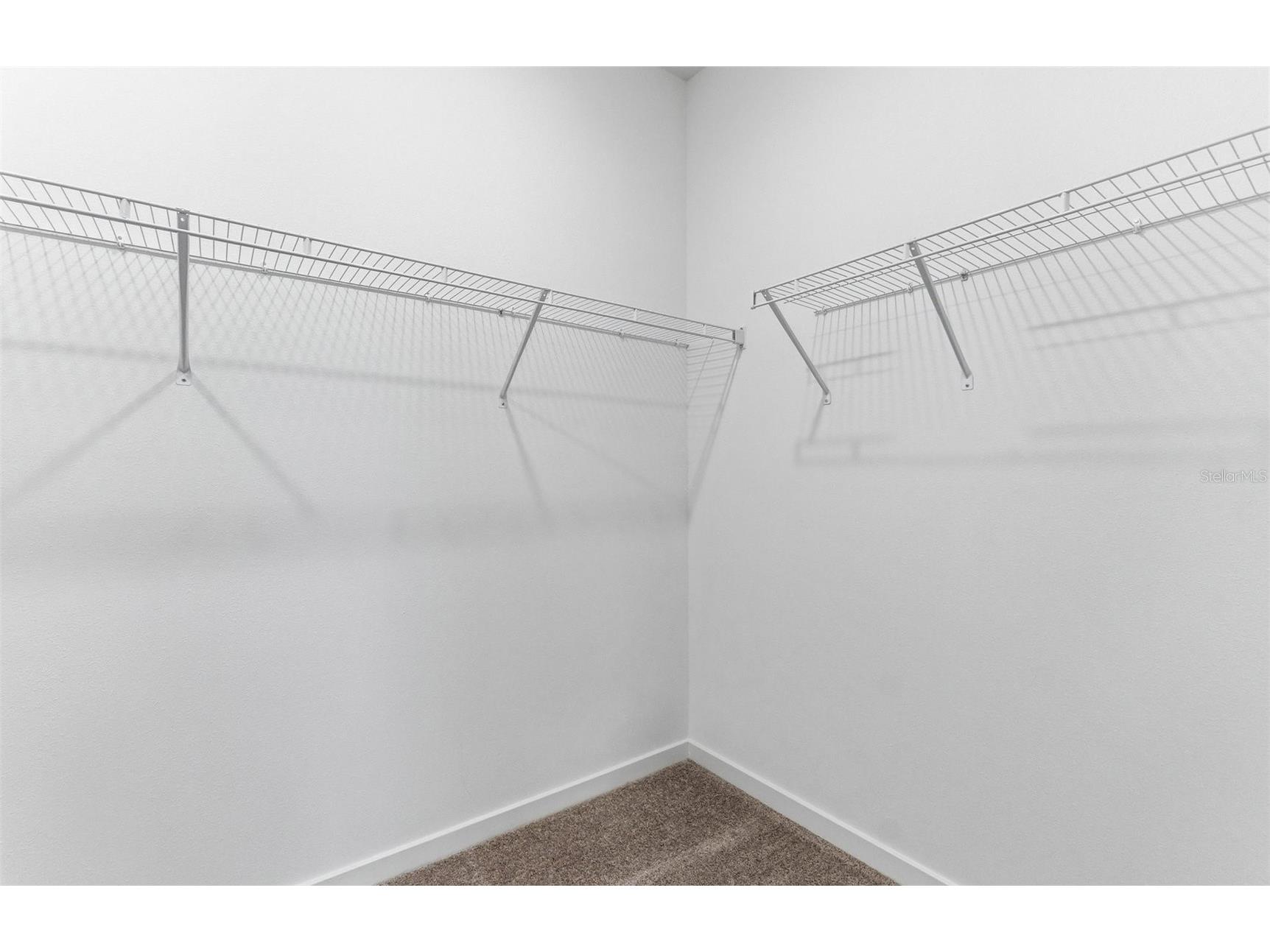 11222 Sycamore Glen Loop Thonotosassa FL 33592 TB8477826 image9