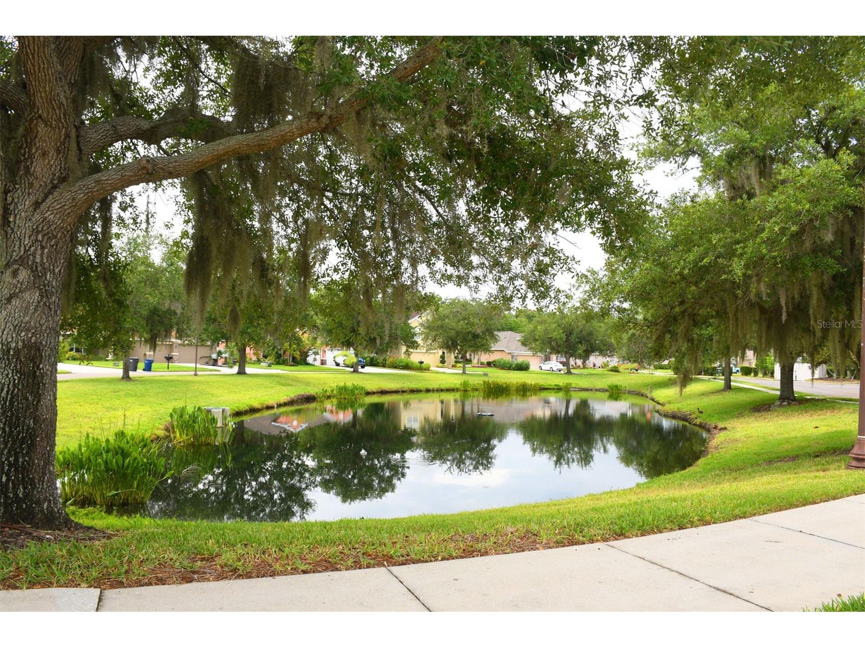 11223 82nd Street E Parrish FL 34219 A4695444 image28
