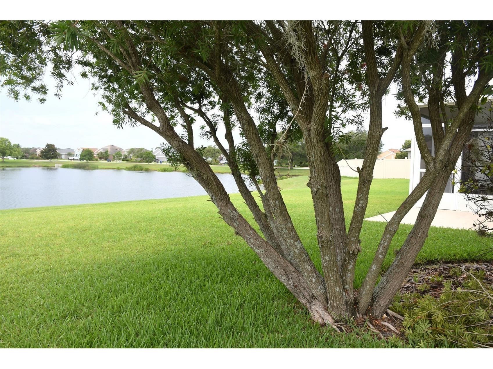 11223 82nd Street E Parrish FL 34219 A4695444 image46
