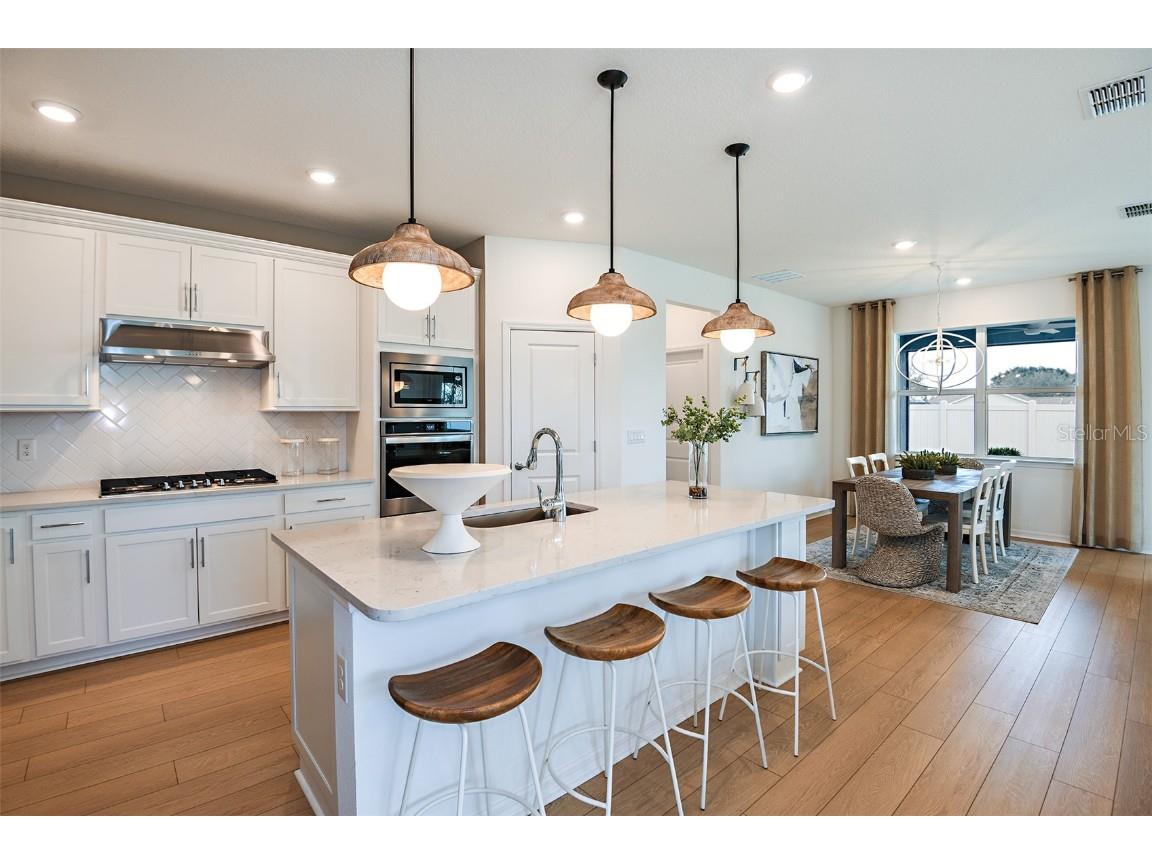 11223 Sycamore Glen Loop Thonotosassa FL 33592 TB8433452 image5