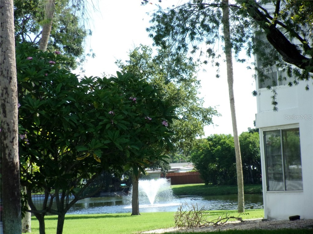 11224 82nd Avenue #210 Seminole FL 33772 TB8457390 image29