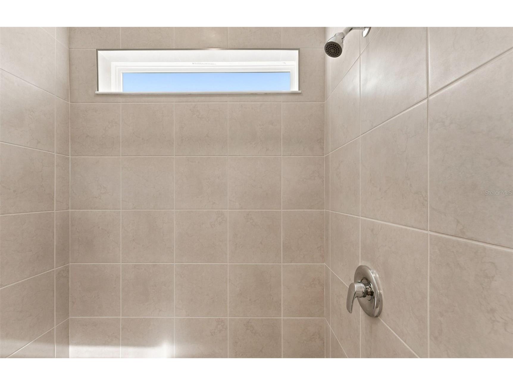 11224 Sycamore Glen Loop Thonotosassa FL 33592 TB8518251 image10