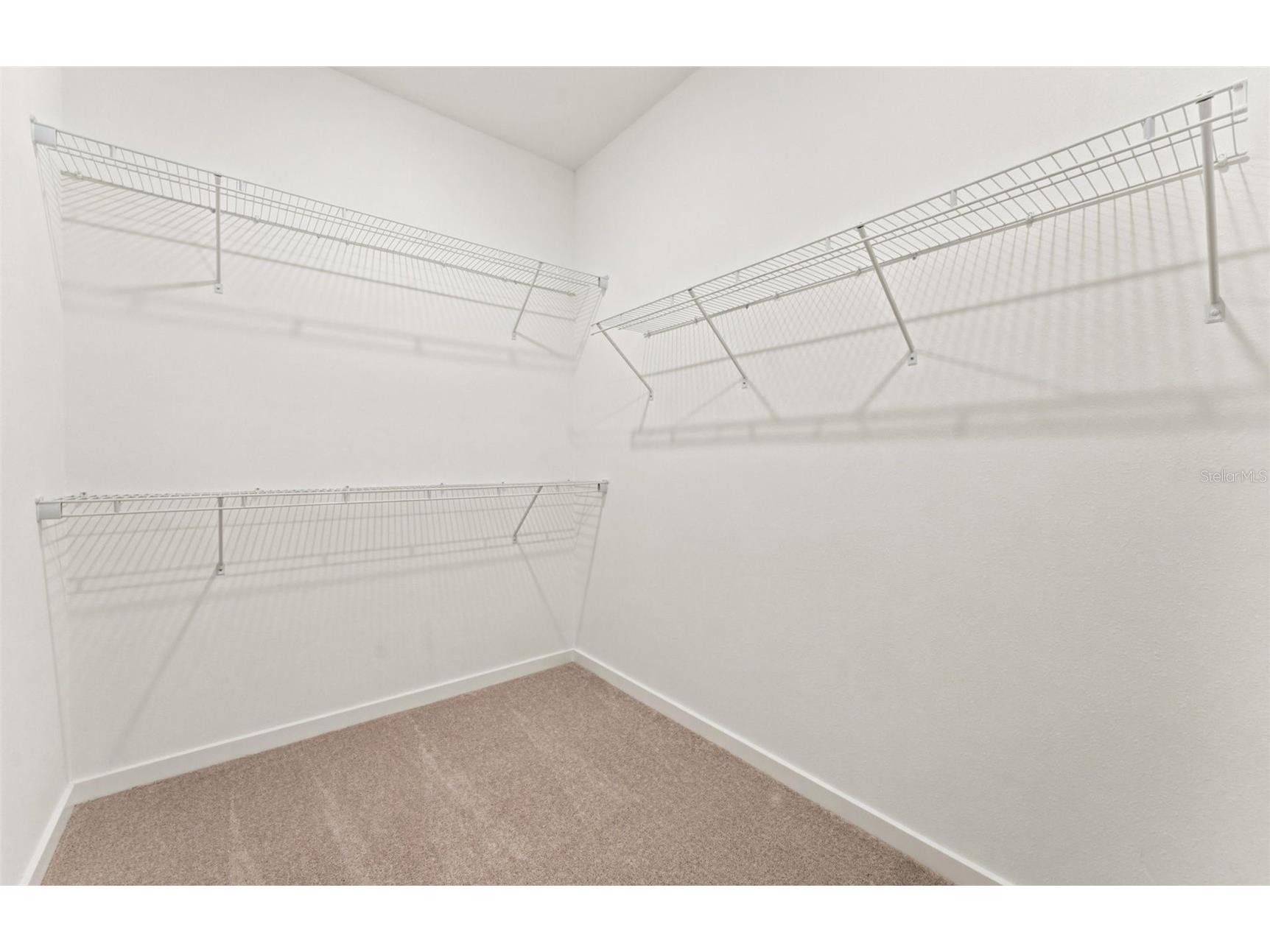 11224 Sycamore Glen Loop Thonotosassa FL 33592 TB8518251 image11