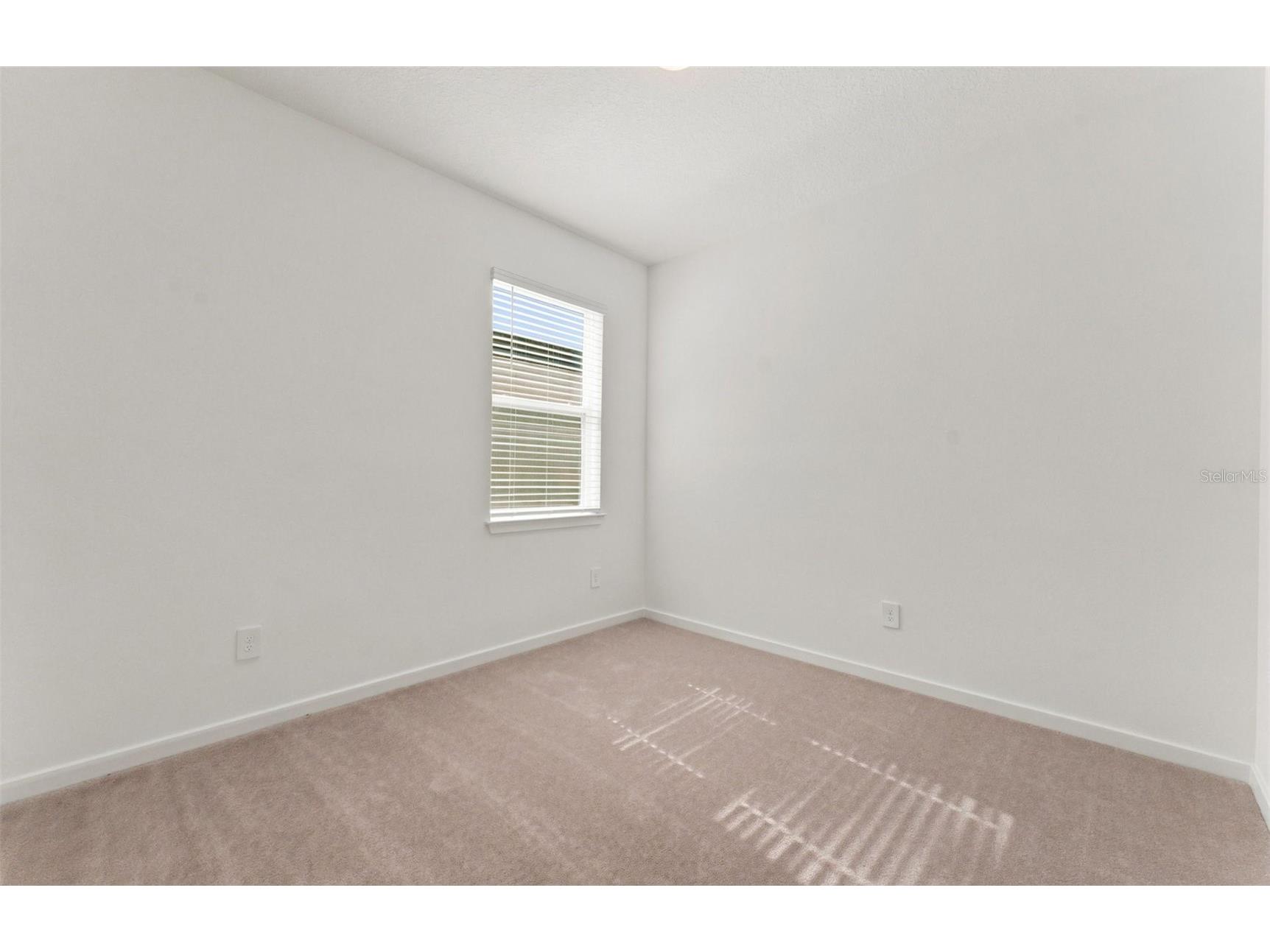 11224 Sycamore Glen Loop Thonotosassa FL 33592 TB8518251 image15
