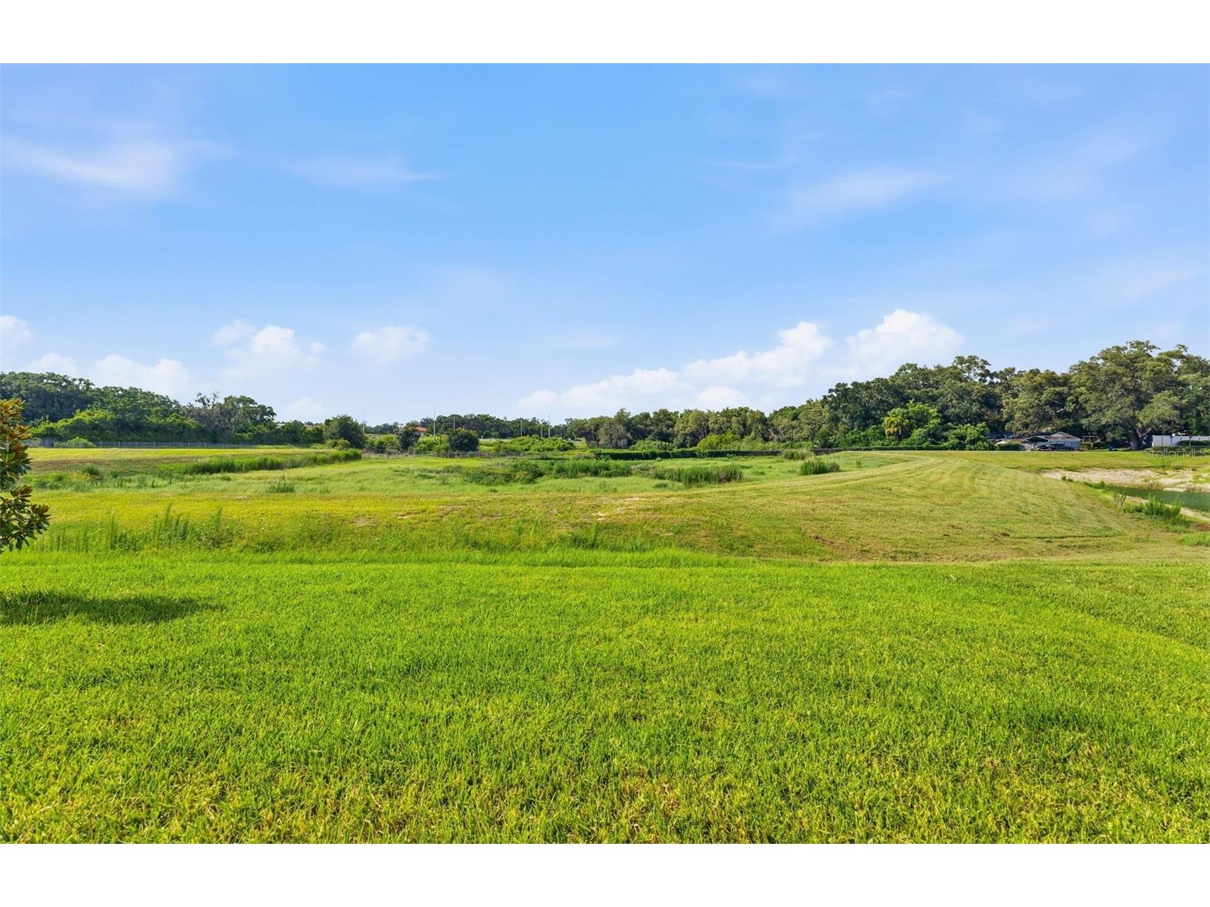 11224 Sycamore Glen Loop Thonotosassa FL 33592 TB8518251 image21