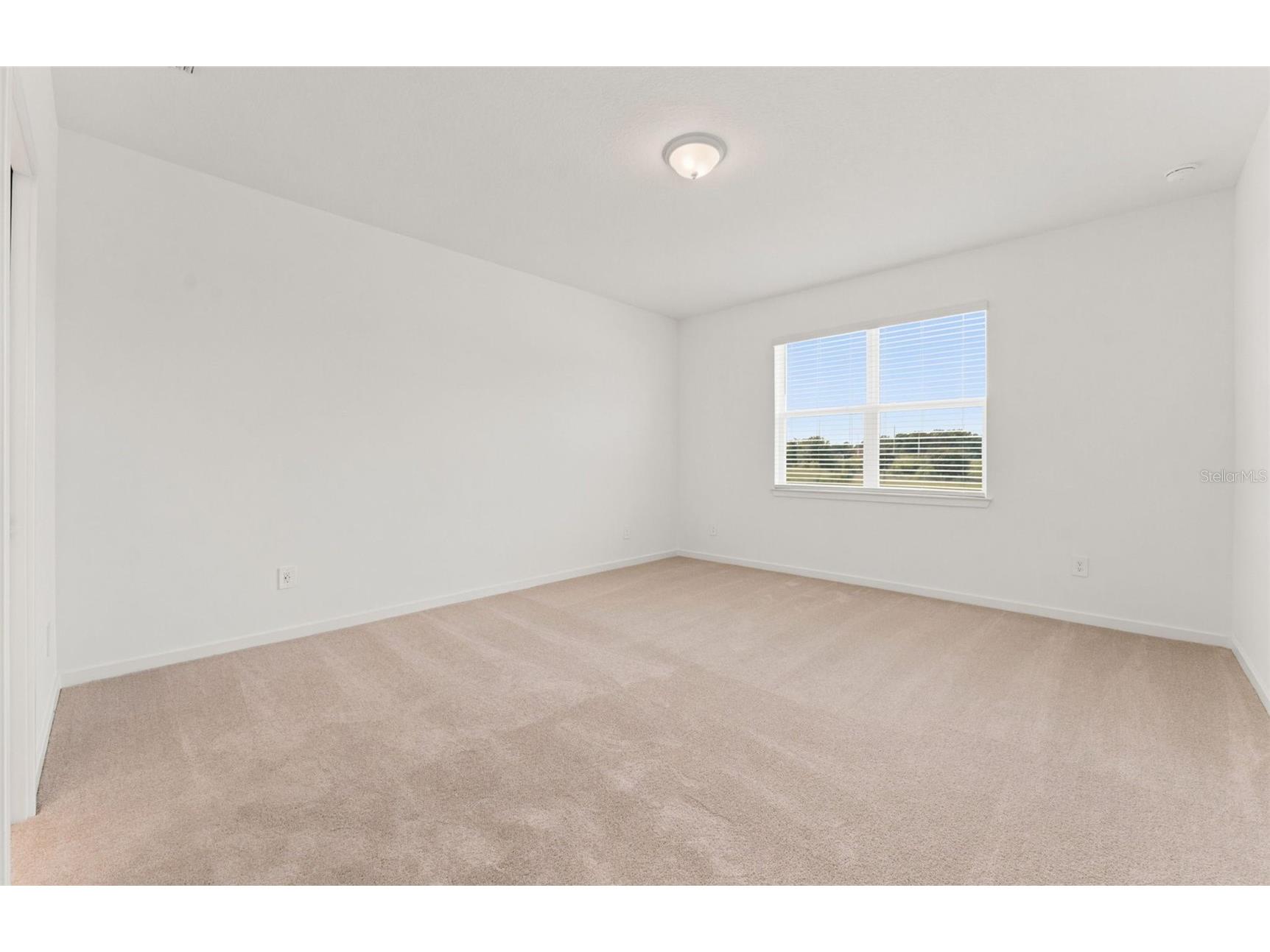 11224 Sycamore Glen Loop Thonotosassa FL 33592 TB8518251 image8