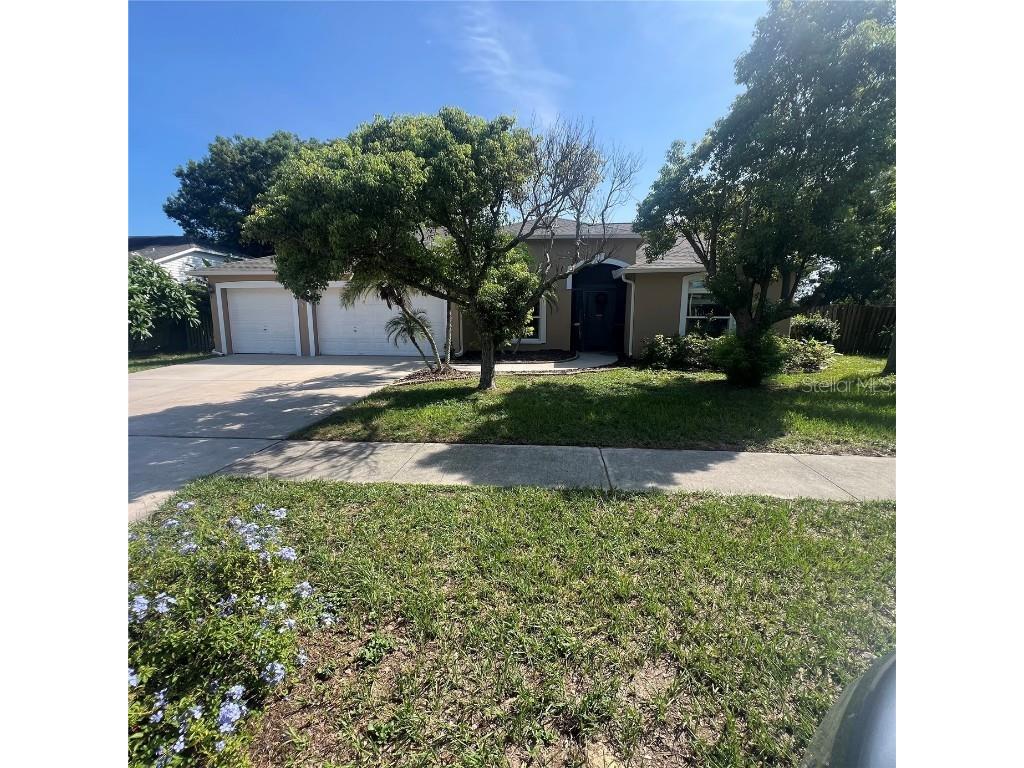 11225 Andy Drive Riverview FL 33569 T3545591 image1