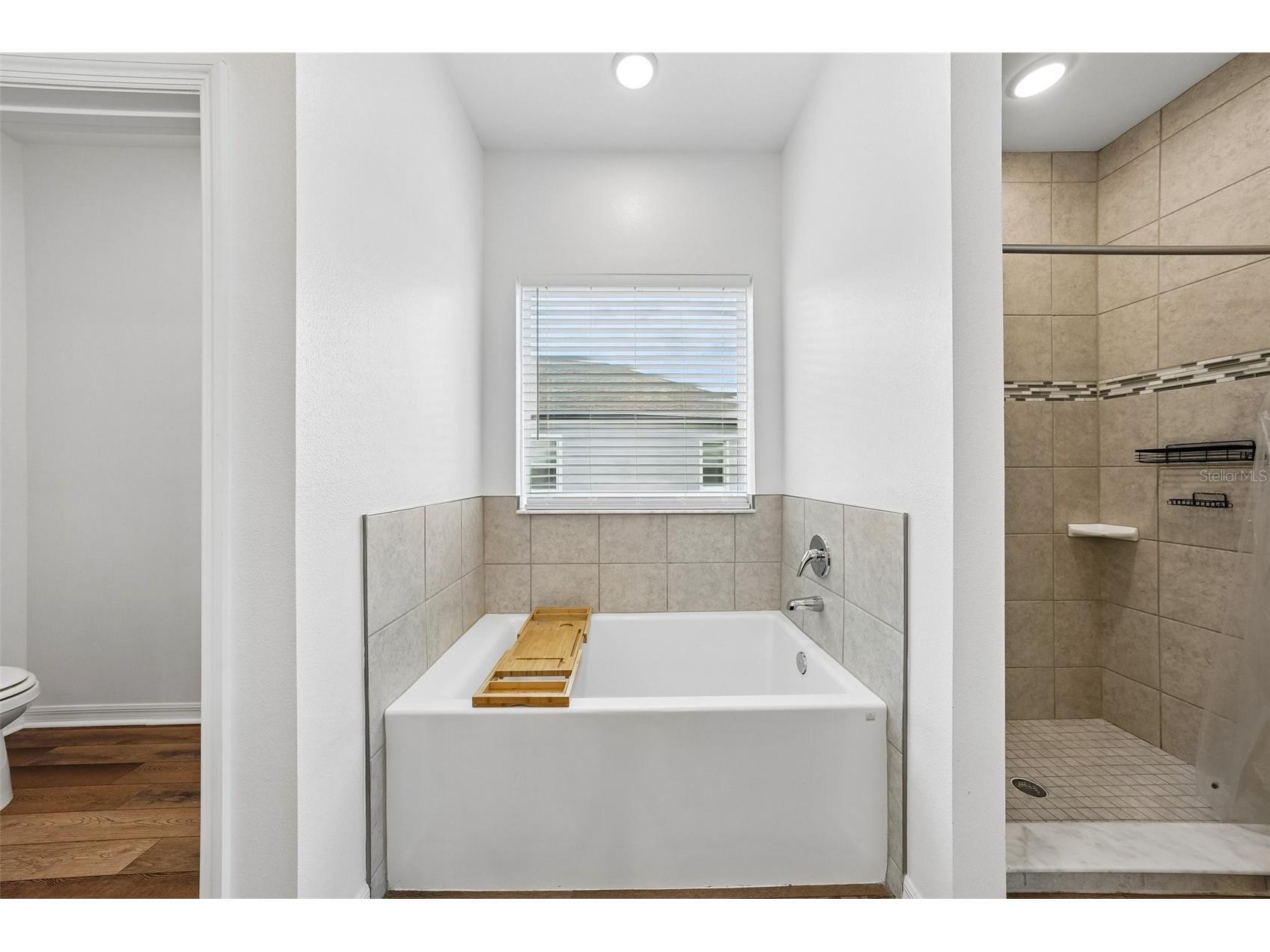 11225 June Briar Loop San Antonio FL 33576 TB8508297 image15