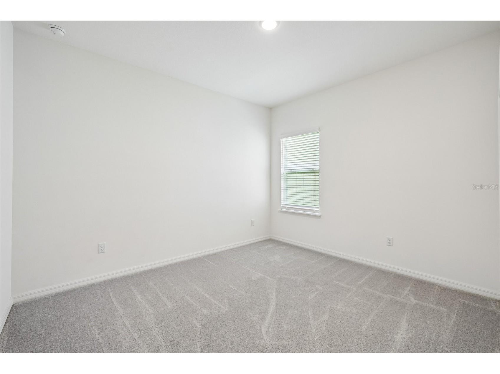 11225 June Briar Loop San Antonio FL 33576 TB8508297 image21