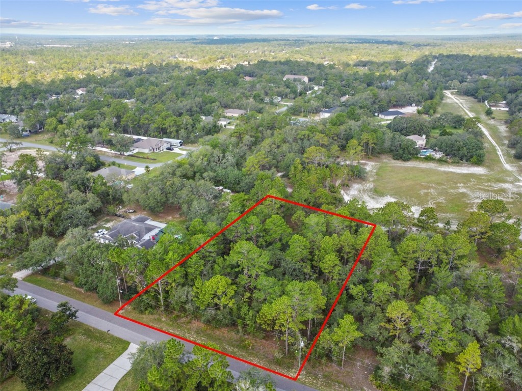 11225 Lomita Wren Road Brooksville FL 34614 U8206020 image1