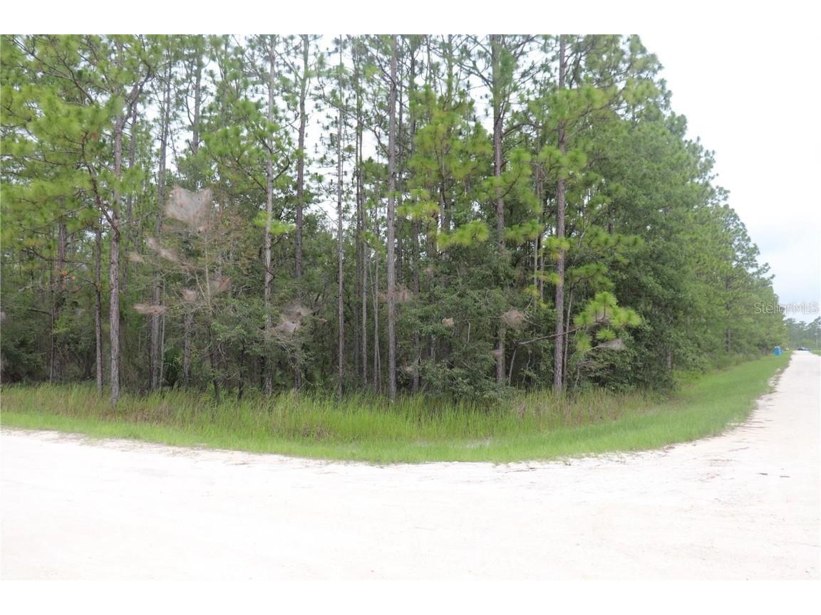 11225 Tinamou Avenue Weeki Wachee FL 34614 T3520820 image1