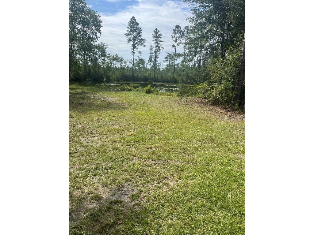 11226 Clarence Bennett Road Sanderson FL 32087 G5100797 image1