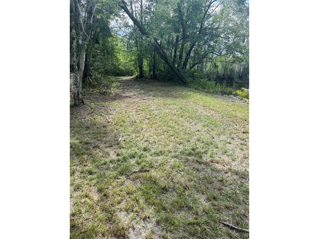 11226 Clarence Bennett Road Sanderson FL 32087 G5100797 image10