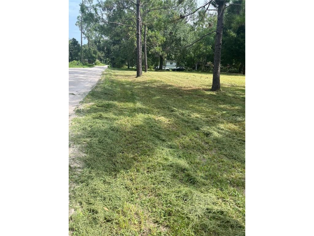 11226 Clarence Bennett Road Sanderson FL 32087 G5100797 image2