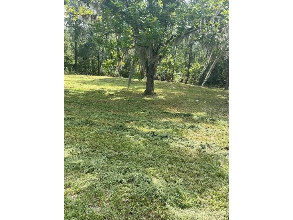 11226 Clarence Bennett Road Sanderson FL 32087 G5100797 image4