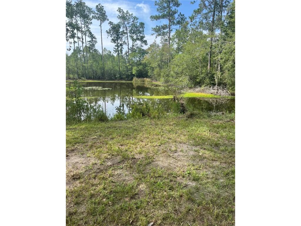 11226 Clarence Bennett Road Sanderson FL 32087 G5100797 image5